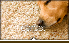 Carpet Flooring Vancouver
